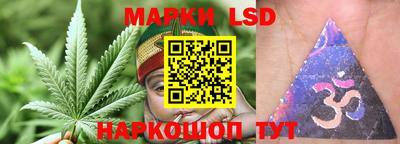 ПСИЛОЦИБИНОВЫЕ ГРИБЫ Ирбит