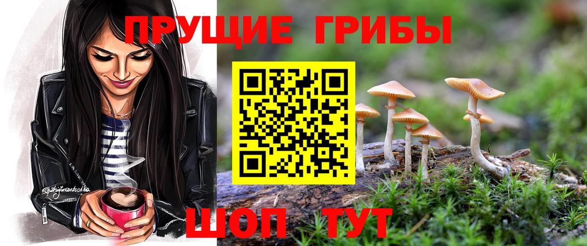 Бузулук  Псилоцибиновые грибы мухоморы  Вход с VPN 